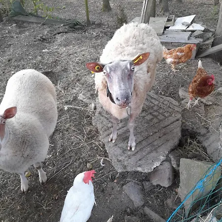 Entre Loire Et Vallee