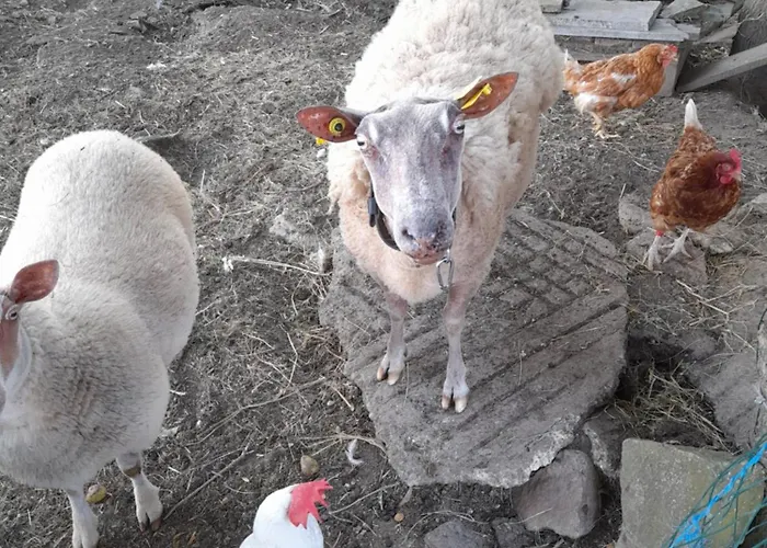 Entre Loire Et Vallee